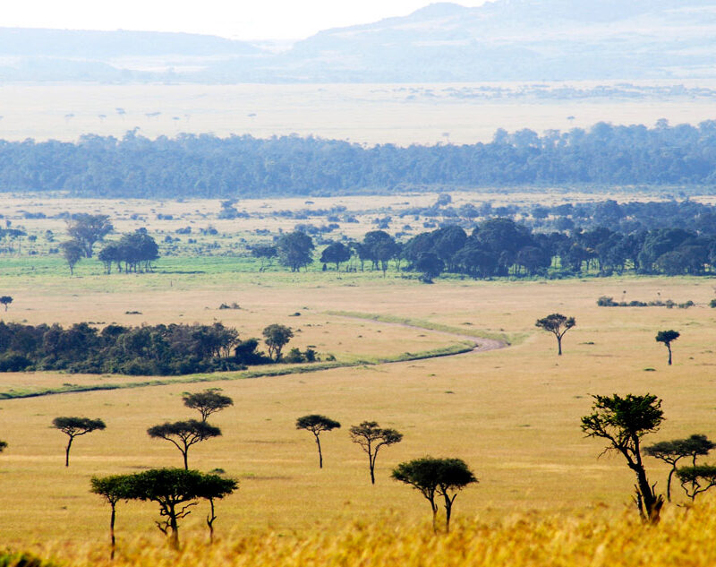 Exploring the Untamed Beauty of Kidepo Valley National Park