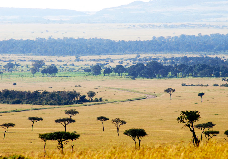 Exploring the Untamed Beauty of Kidepo Valley National Park