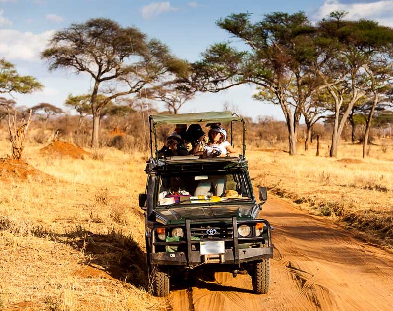 8-days-tarangire-and-serengeti-flying-safari