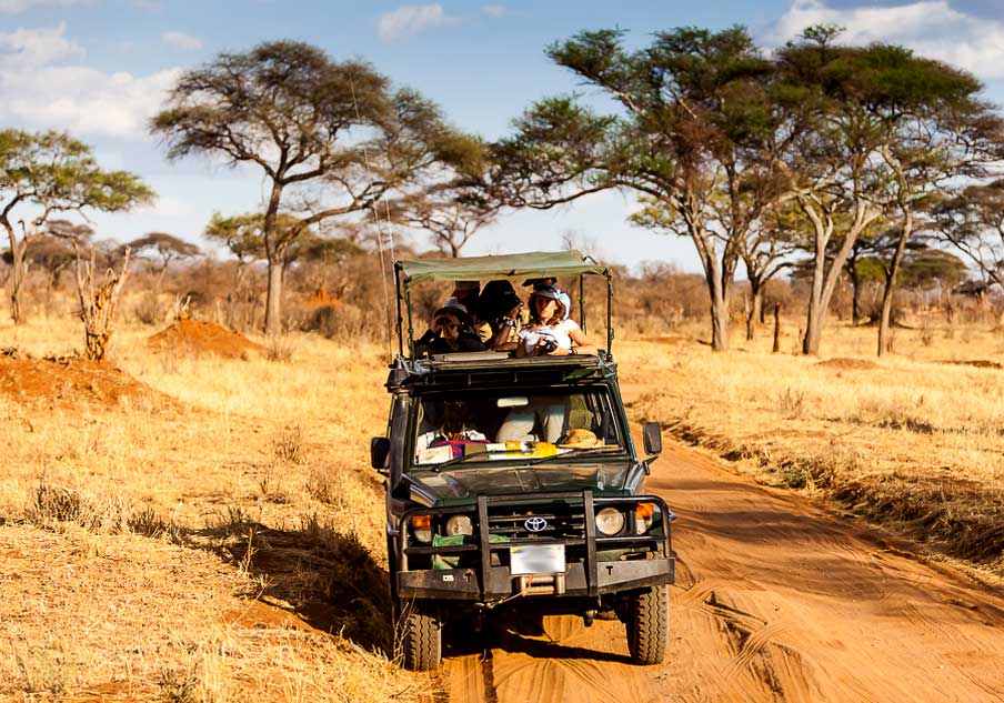 8-days-tarangire-and-serengeti-flying-safari