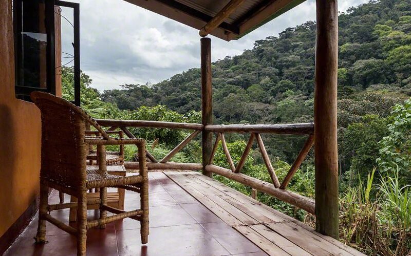 Discovering the Magic of Bwindi 3-Day Gorilla Trekking Adventure at Gorilla Valley Lodge