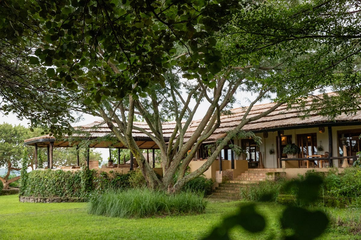 The Ultimate Stay at Kyambura Gorge lodge at Queen Elizabeth National park & Chimpanzee Tracking