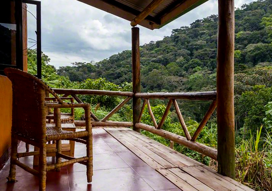 AFFORDABLE GORILLA TREK: UNFORGETTABLE MOMENTS AT GORILLA VALLEY LODGE