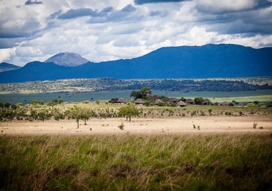 LUXURY IN THE WILD: EXPERIENCE APOKA SAFARI LODGE, KIDEPO