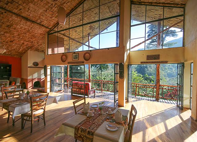 Top Places To Stay In Bwindi For Your Ultimate Gorilla Trekking Safari